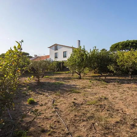 Villa Lisbon Sea View *