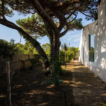 Villa Lisbon Sea View *