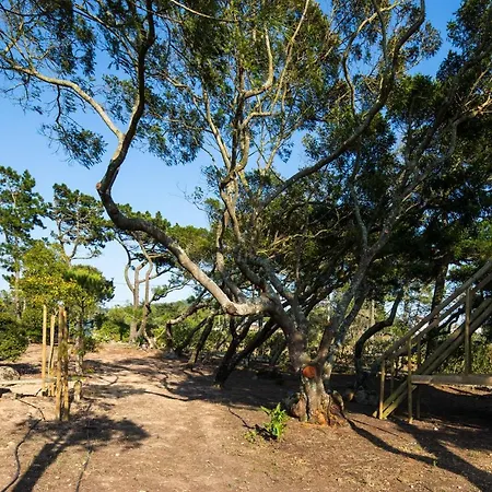 Lisbon Sea View Villa